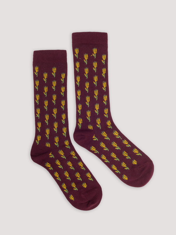 N.T 25 SOCKS 009